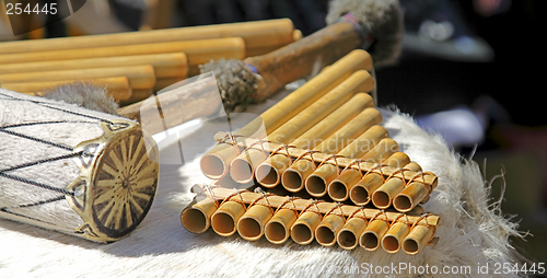 Image of The Andean instruments