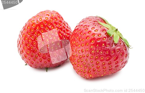 Image of Strawberry