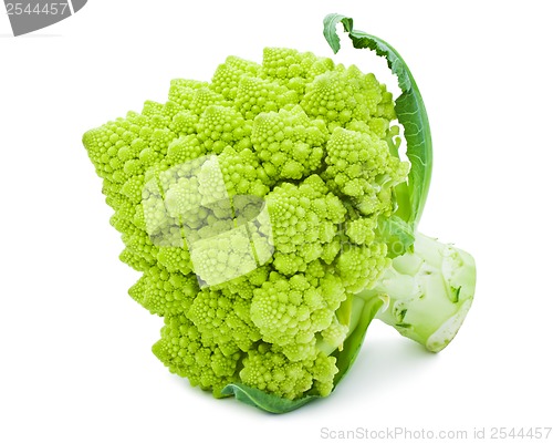 Image of Romanesco broccoli