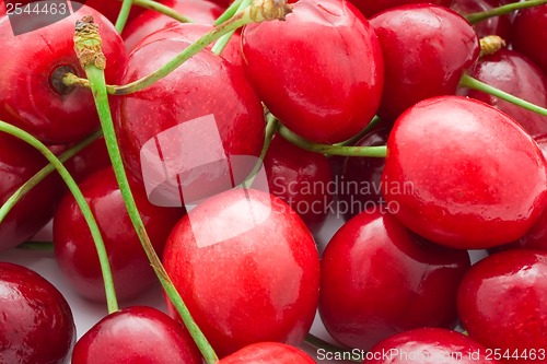 Image of Red cherry