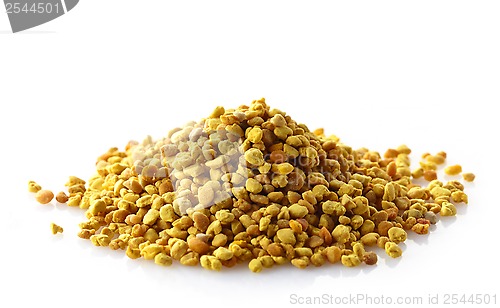 Image of bee pollen 