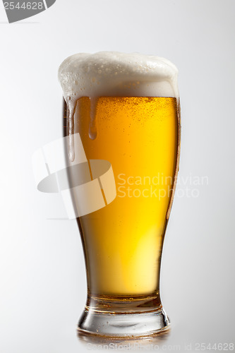 Image of Beer in glass isolated on white background