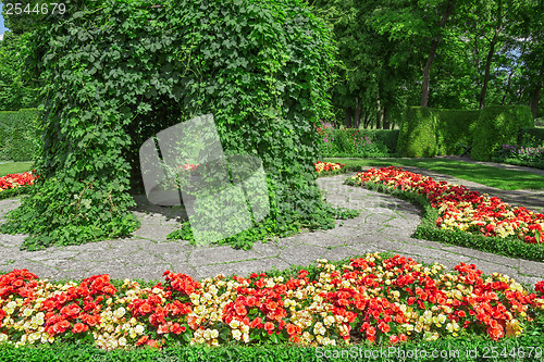 Image of Ornamental garden with blooming begonias