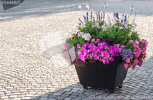Image of Flowers decorating a city square