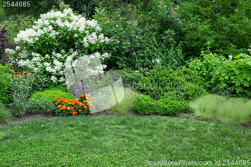 Image of Blooming garden with green lawn