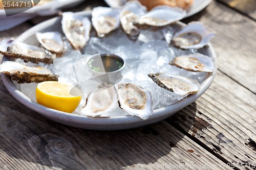 Image of raw oysters