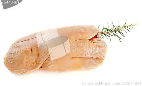 Image of foie gras