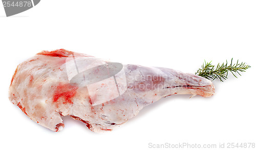 Image of leg of lamb