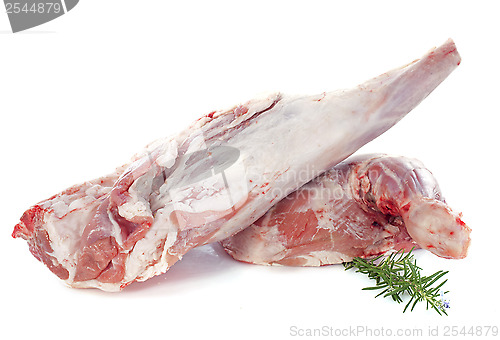 Image of leg and shoulder of lamb