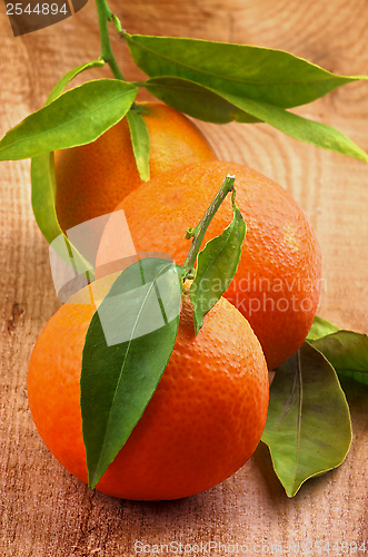 Image of Tangerines