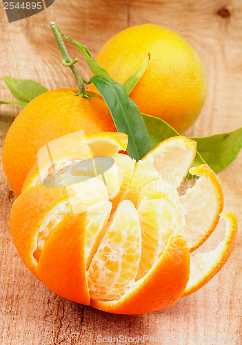 Image of Tangerine with Segments