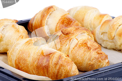 Image of Croissants