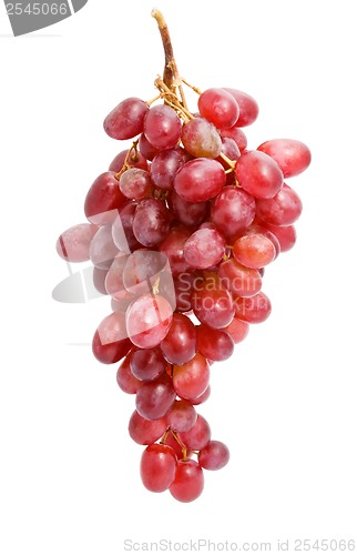 Image of Grapes