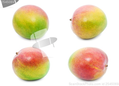 Image of Mango