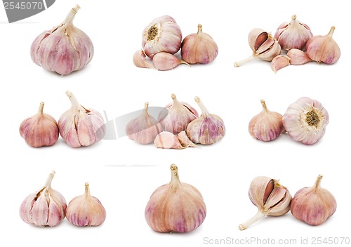 Image of Garlic