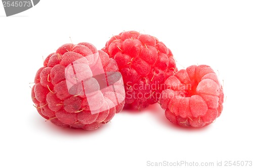 Image of Fresh raspberries