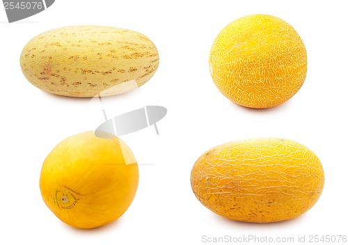 Image of Melon