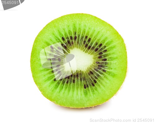 Image of Kiwi