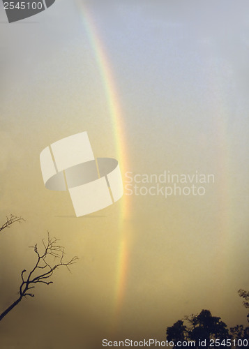 Image of Rainbow