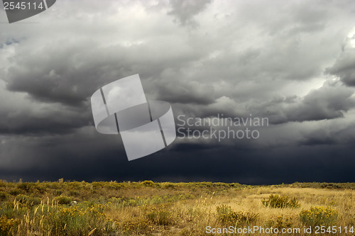 Image of Storm