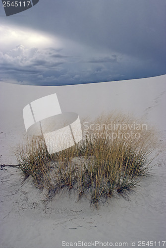 Image of White Sands