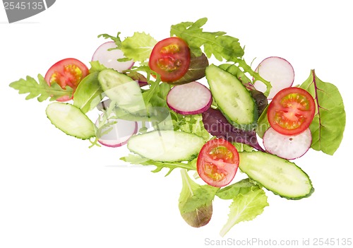 Image of cut cucumbers, garden radish, tomatoes and lettuce leaves