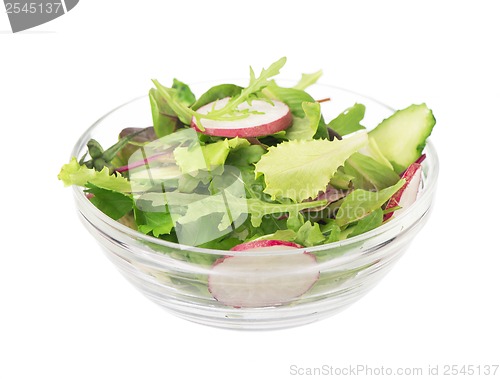 Image of Salad from cut cucumbers, garden radish and lettuce leaves