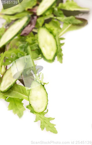 Image of cut cucumbers, garden radish and lettuce leaves