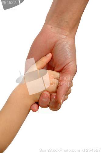 Image of Young and old hands