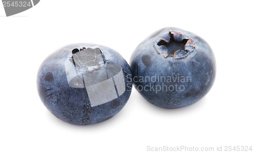 Image of Blueberry