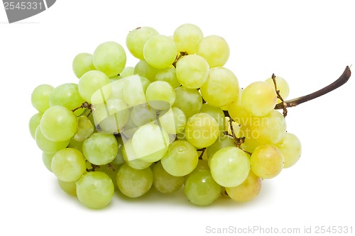 Image of Grapes