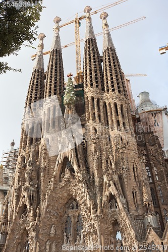 Image of Sagrada Familia in Barcelona