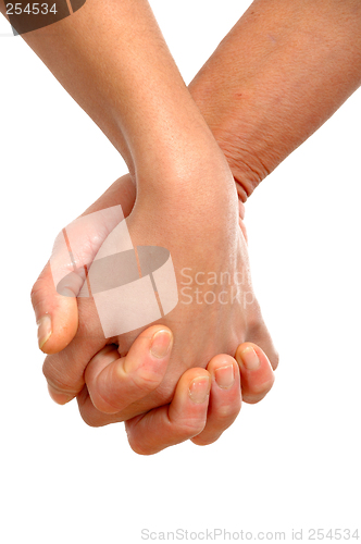 Image of Hands on white background