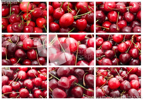 Image of Cherry