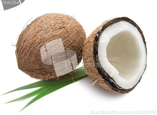 Image of Coconut
