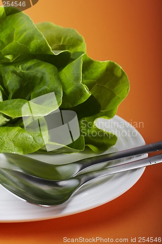 Image of salad