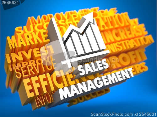 Image of Sales Management. Wordcloud Concept.