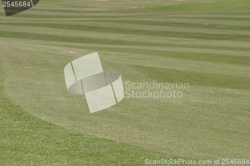 Image of Golf Grass