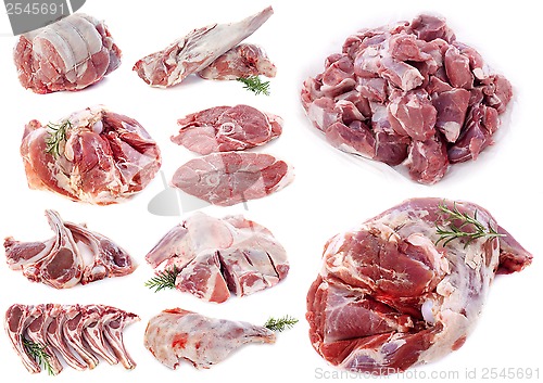 Image of lamb meat