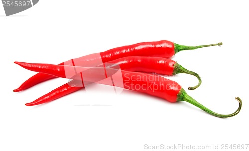 Image of Hot chili pepper