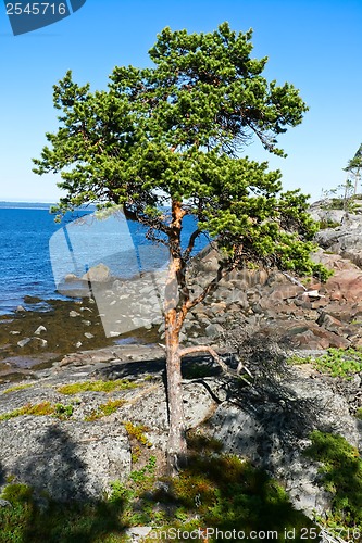 Image of Sea