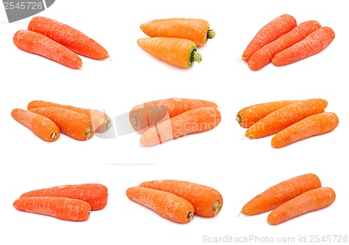 Image of Carrot