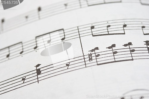 Image of Music notes