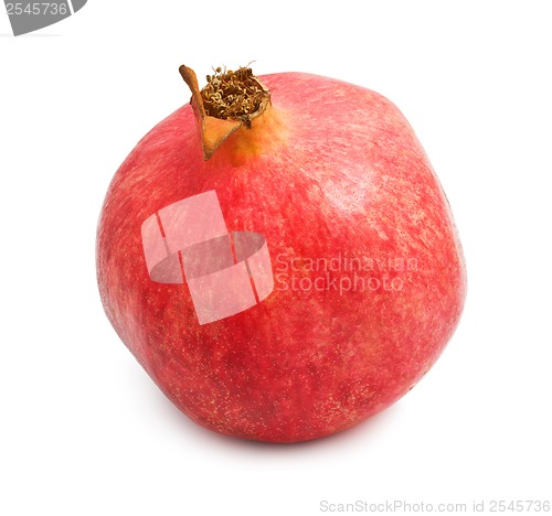 Image of Pomegranate