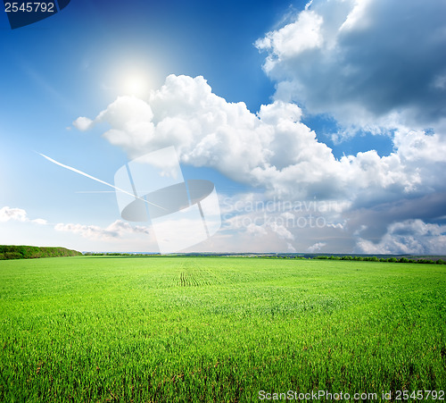 Image of Field of grass