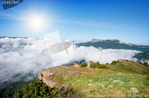 Image of Meadow in the mountains