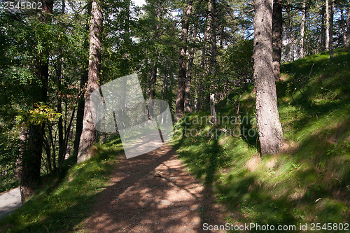 Image of Hiking in natural park in Italy