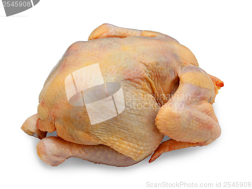 Image of hen ready to preparation on a white background