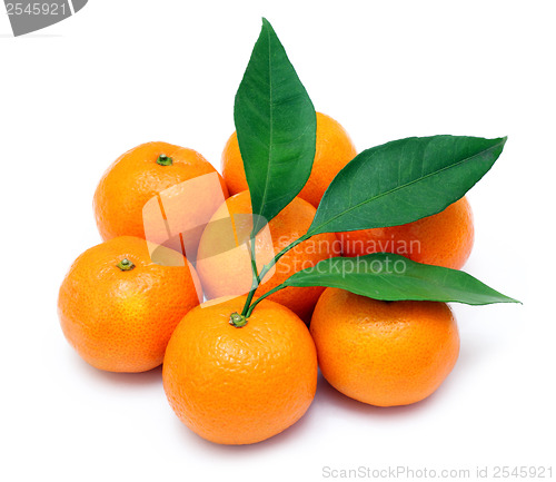 Image of Ripe tangerines or mandarin with leaf isolated on white backgrou