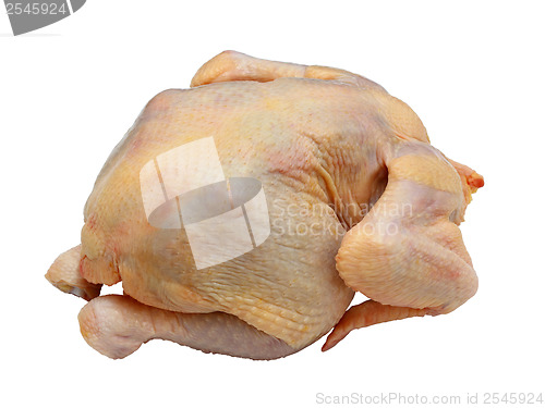 Image of hen ready to preparation on a white background